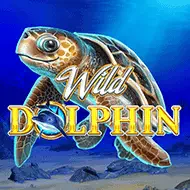 Wild Dolphin